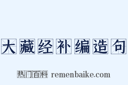 大藏经补编造句是什么意思的图片